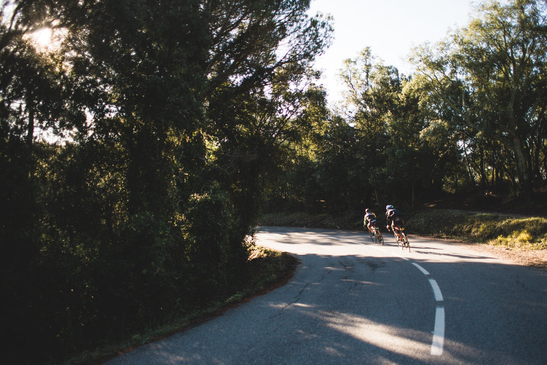 CBD-olie, CBD-pleisters en hennep proteïne: natuurlijke ondersteuning voor wielrenners en mountainbikers