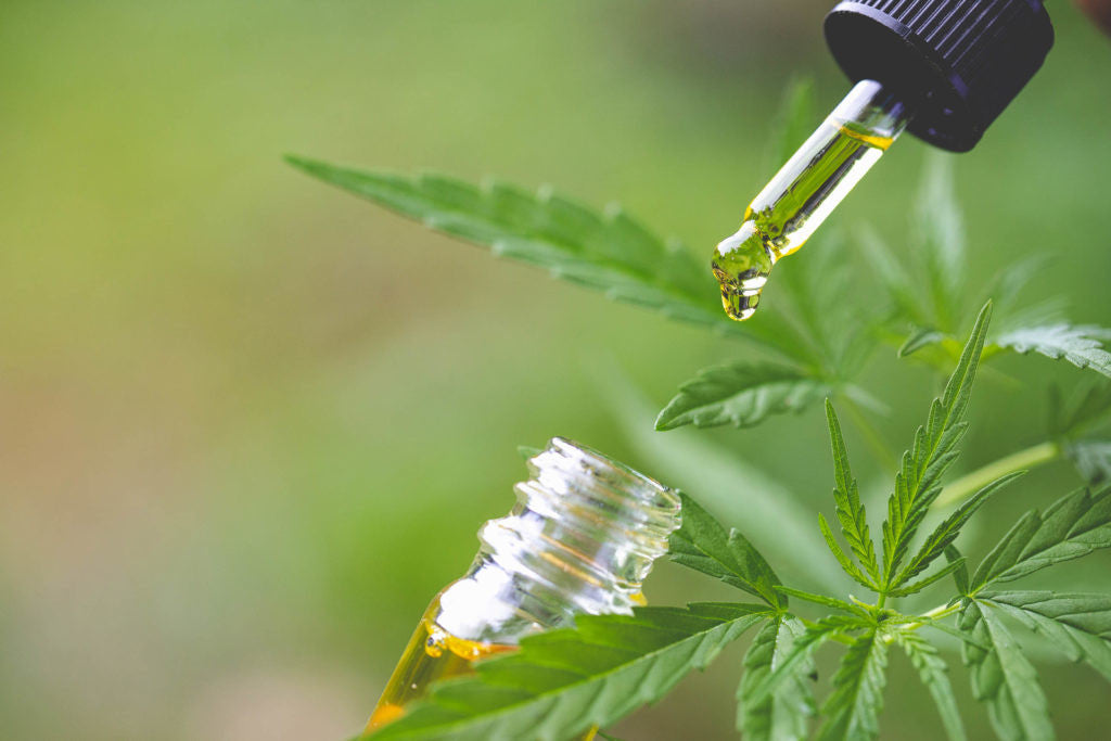 Hoe plantenstoffen zoals CBD samenwerken met je lichaam: het endocannabinoïde systeem uitgelegd